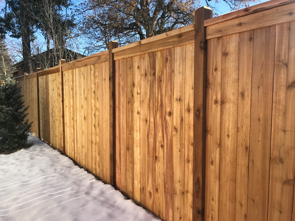 Deck Staining project 1